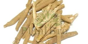 Ashwagandha Roots