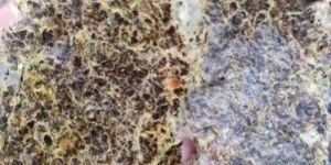 Pure Cotton Seed Oil Cake