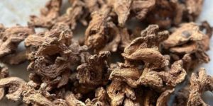 Dry ginger/Sunami dry ginger