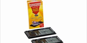 Hy-Catch Plastic Regular Rat Glue Trap