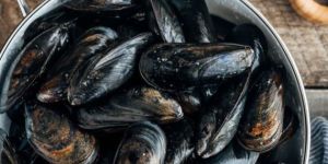 Fresh Quality Whole Mussels