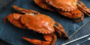 Fresh Sea Crab Whole