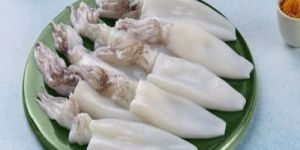 Fresh Squid Whole Cleaned