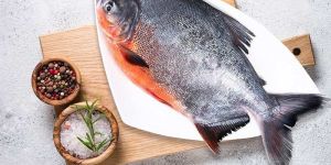 Fresh Flavourful Whole Roopchand Fish