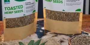 Toasted Hemp Seeds