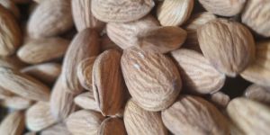 Almond Kernels