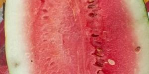 Watermelon