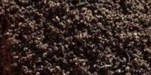 Agriculture Vermicompost Fertilizer