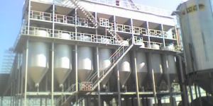 Paddy Steaming Plant