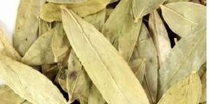 Dried Senna Leaves