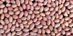 Peanut Seeds