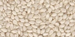 Sesame Seeds