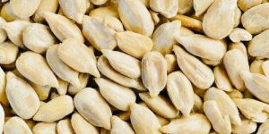 Sunflower Seeds