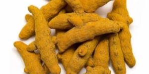 Turmeric Finger