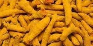 Turmeric Finger
