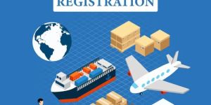 Import Export Code Registration Service