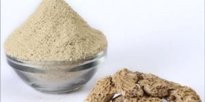 Dehydrated Ginger Powder