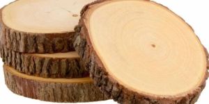 Round Wooden Log Coaster Set