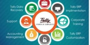 Tally Accounting Services