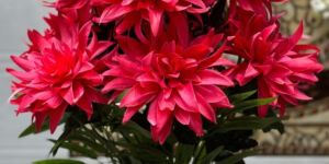 Artificial Pansatta Flower Arrangement