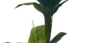 Small Banana Artificial Plant