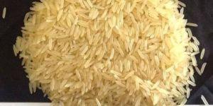 Sugandha Golden Sella Basmati Rice