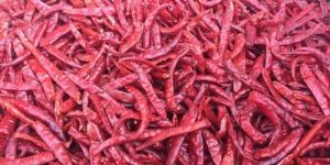 Teja Dry Red Chilli
