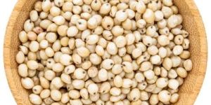 White Sorghum Seeds