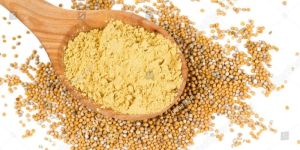 Yellow Mustard Powder