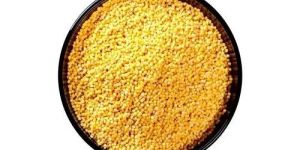 Yellow Sorghum Seeds
