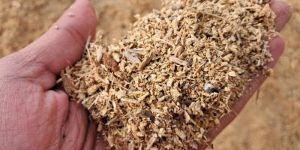 Wooden Sawdust