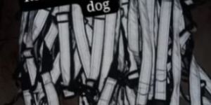 Dog Reflective Harness