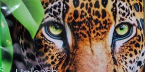 Jaguar A4 Copier Paper