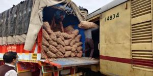 Rake Handling Service