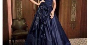 Ladies Party Wear Gown