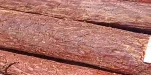 Red Sandal Wood Logs