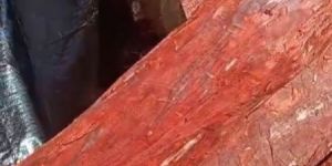 Round Red Sandalwood Logs