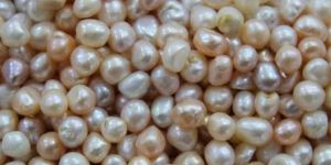 Freshwater Pearl