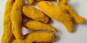 Erode Turmeric Finger