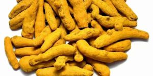 Salem Turmeric Finger