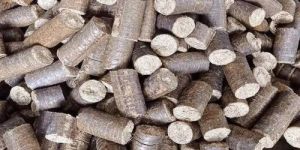 Sawdust Biomass Briquette