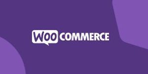 WooCommerce Development Services