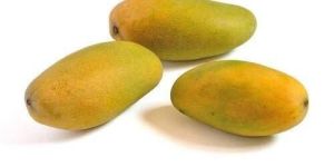 Fresh Dasheri Mango