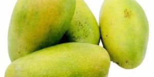 Fresh Himayat Mango