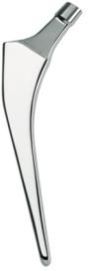 Hip Prosthesis Modular Stem
