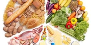 Protein Diet Counseling Services