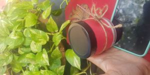 Gaia Soaps Body Butter