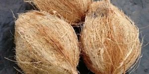 Husked Coconut
