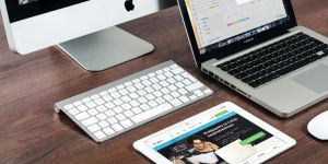 Web Development Services