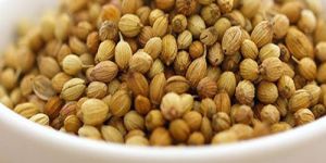 Coriander Seeds
